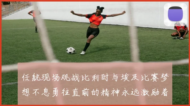 任航现场观战比利时与埃及比赛梦想不息勇往直前的精神永远激励着我们