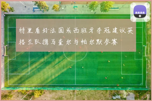 特里看好法国或西班牙夺冠建议英格兰队携马奎尔与帕尔默参赛
