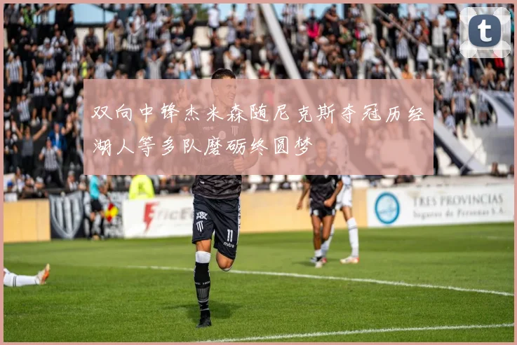 双向中锋杰米森随尼克斯夺冠历经湖人等多队磨砺终圆梦